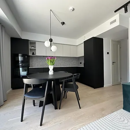 Brand New With Balcony And Free Parking 公寓